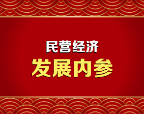 《民营经济发展内参》